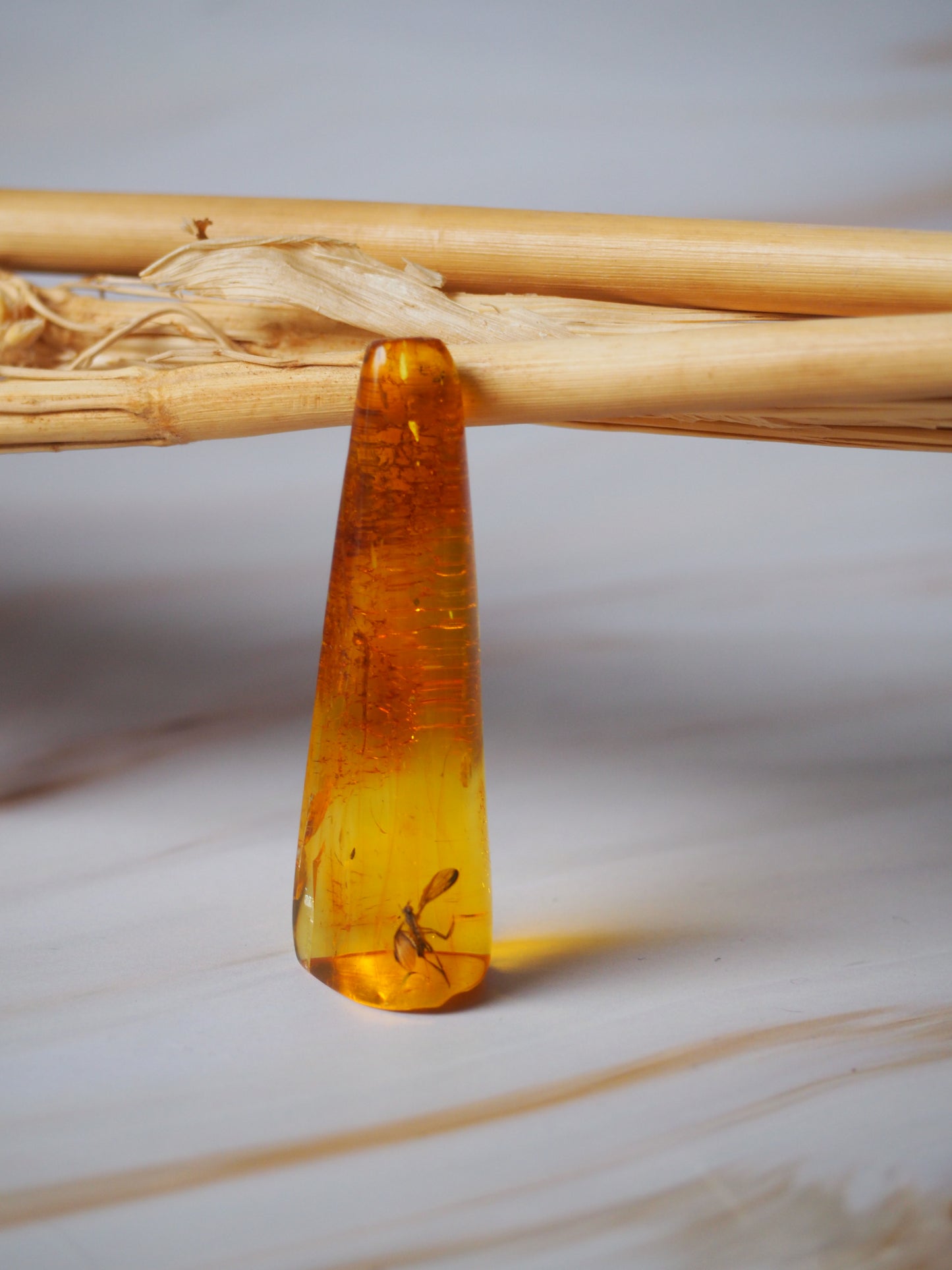 Rare Amber Piece with Insect Inclusion - Mosquito