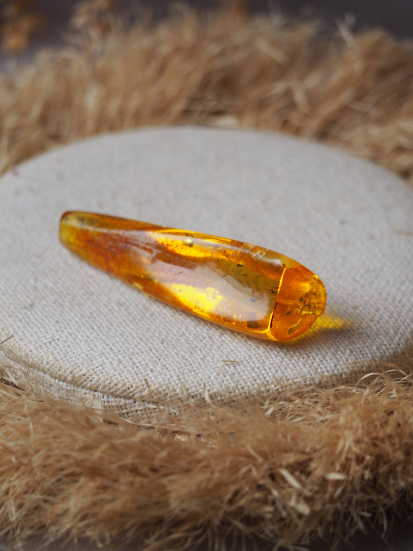 Rare Amber Piece with Insect Inclusion - Mosquito