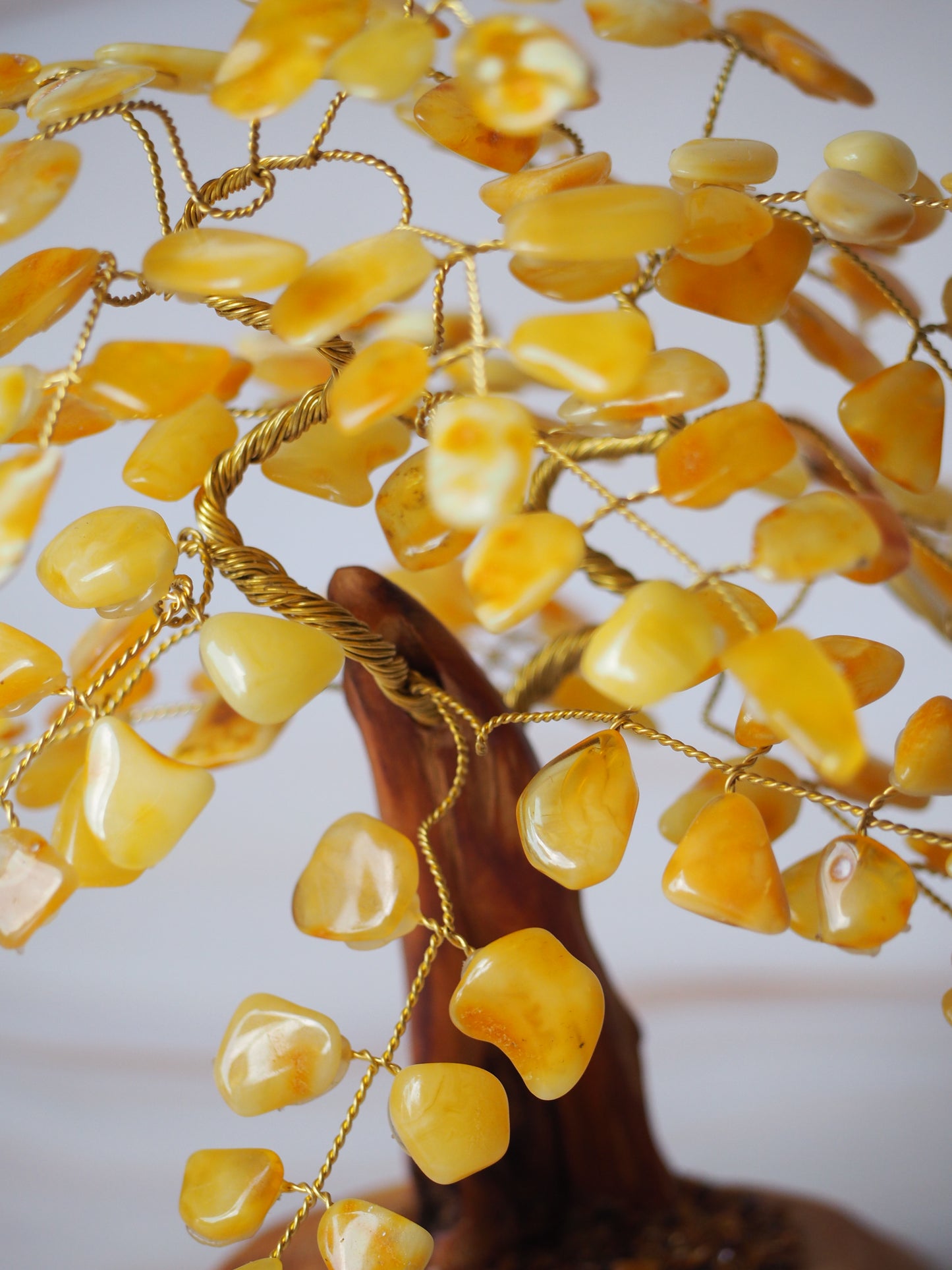 Handmade Natural Butterscotch Amber Lucky Tree  20cm