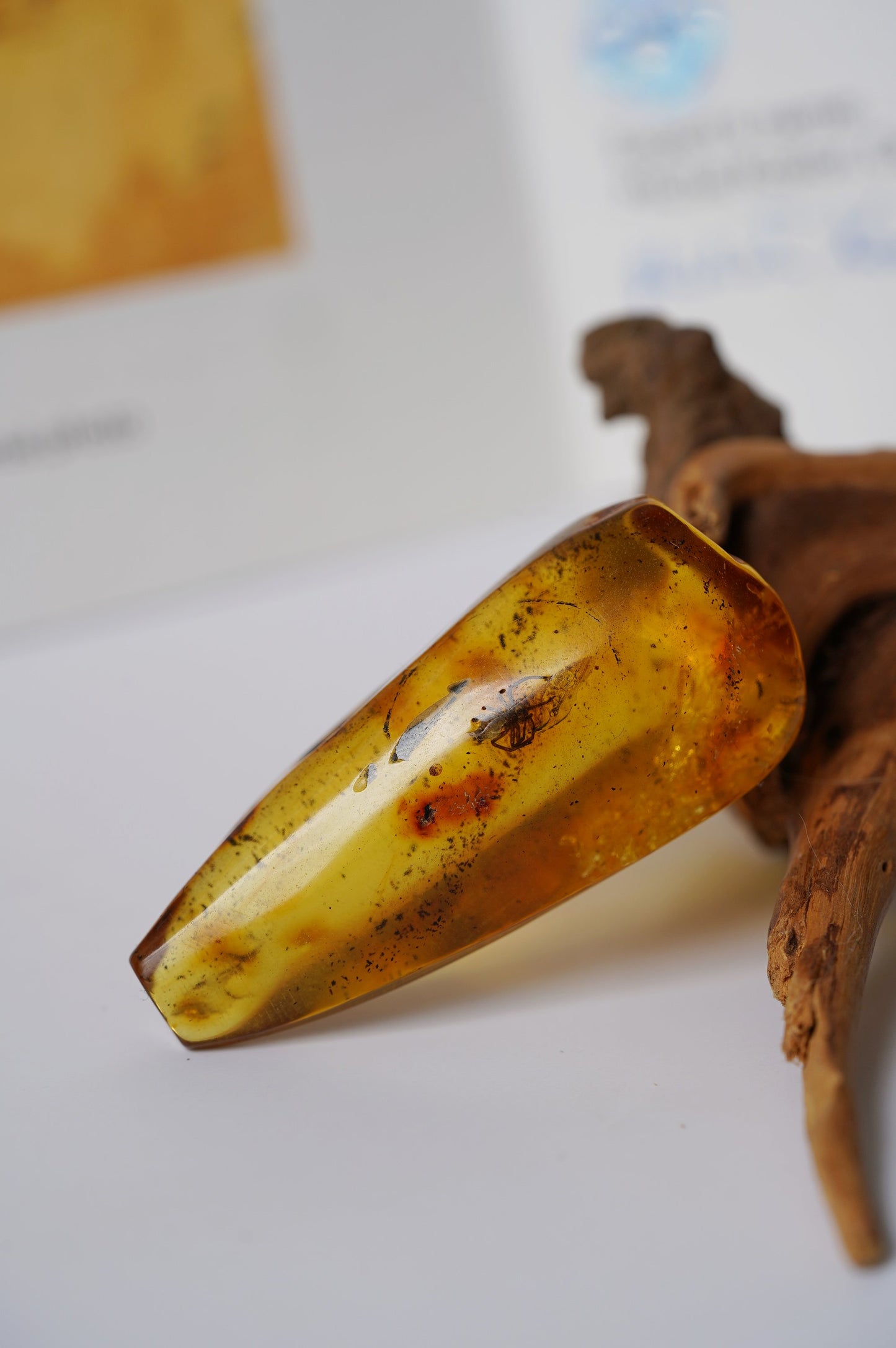 Unique Raw Amber Piece with Spider Inclusion