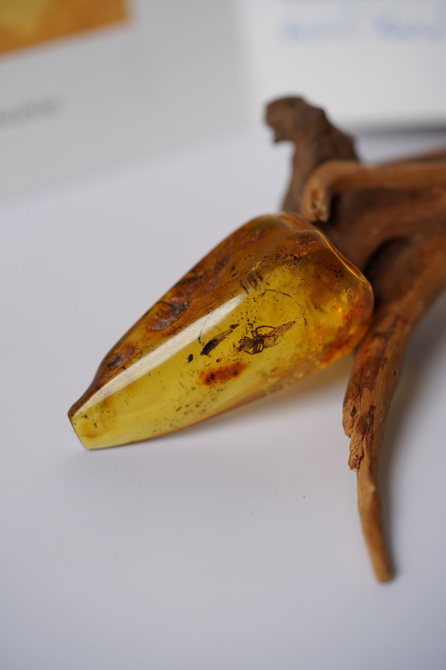 Unique Raw Amber Piece with Spider Inclusion