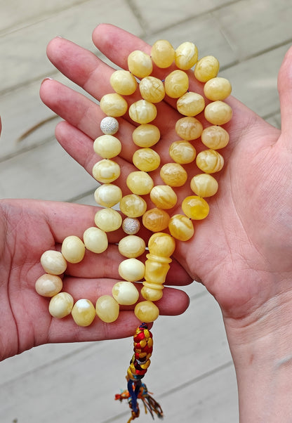 Natural Gradient Butterscotch, Royal White and Tiger Amber Istanbul Shape Misbah 40 Beads