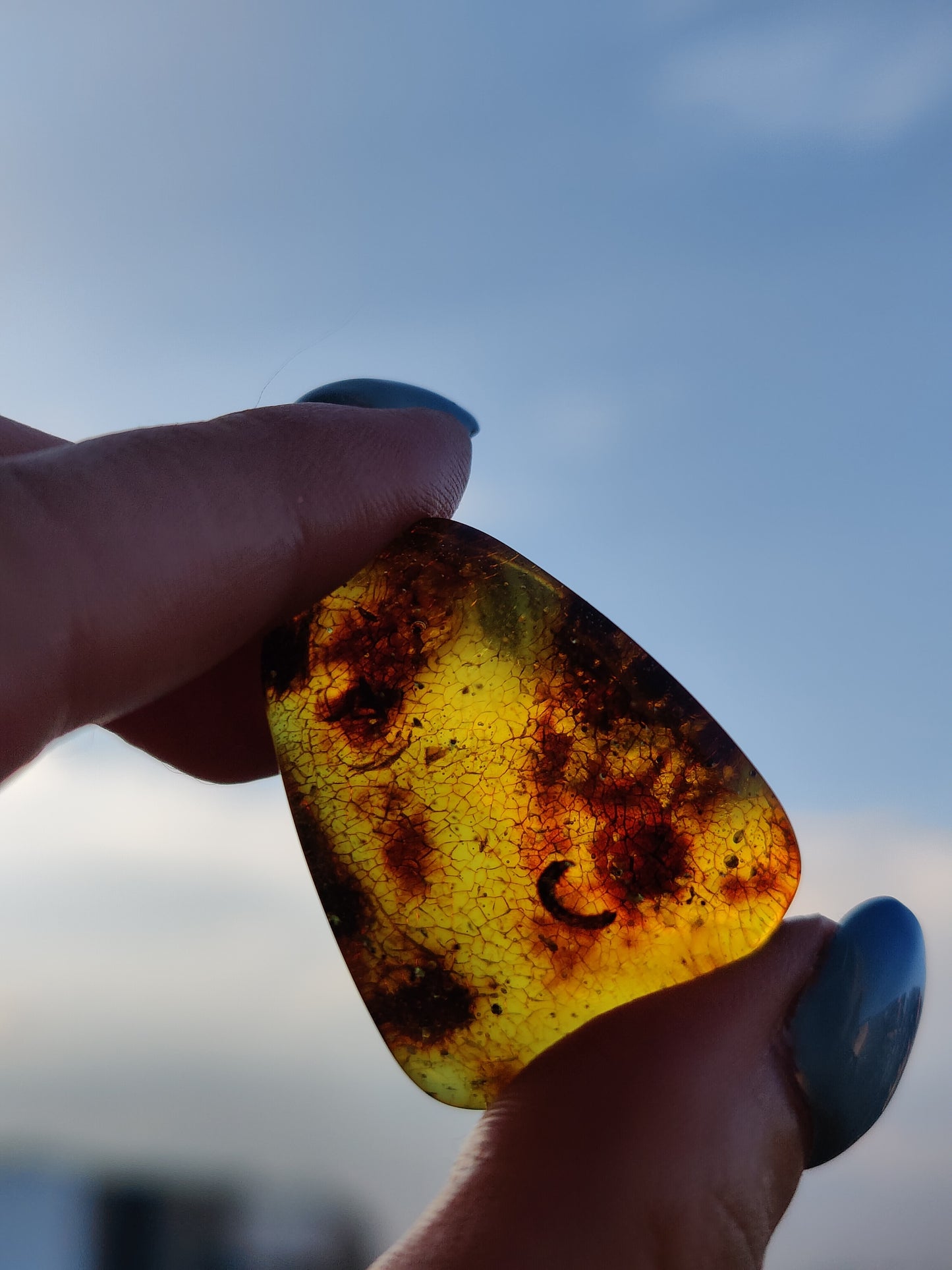 Amber Piece with Natural Insect Inclusion -Worm