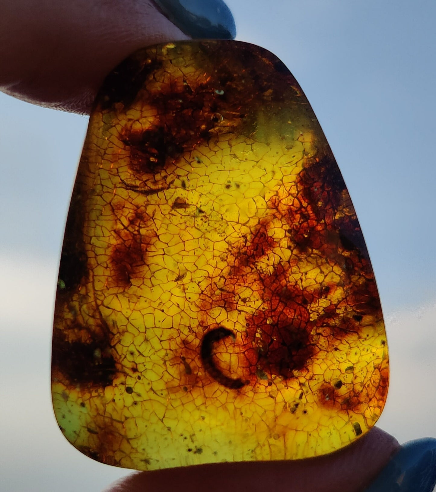 Amber Piece with Natural Insect Inclusion -Worm