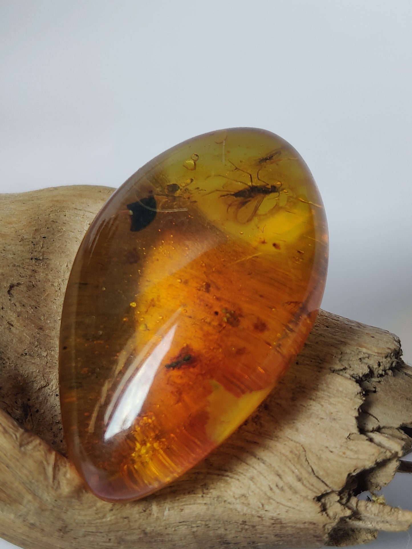 Amber Piece with Two Insects Inclusions and Bubbles of Air