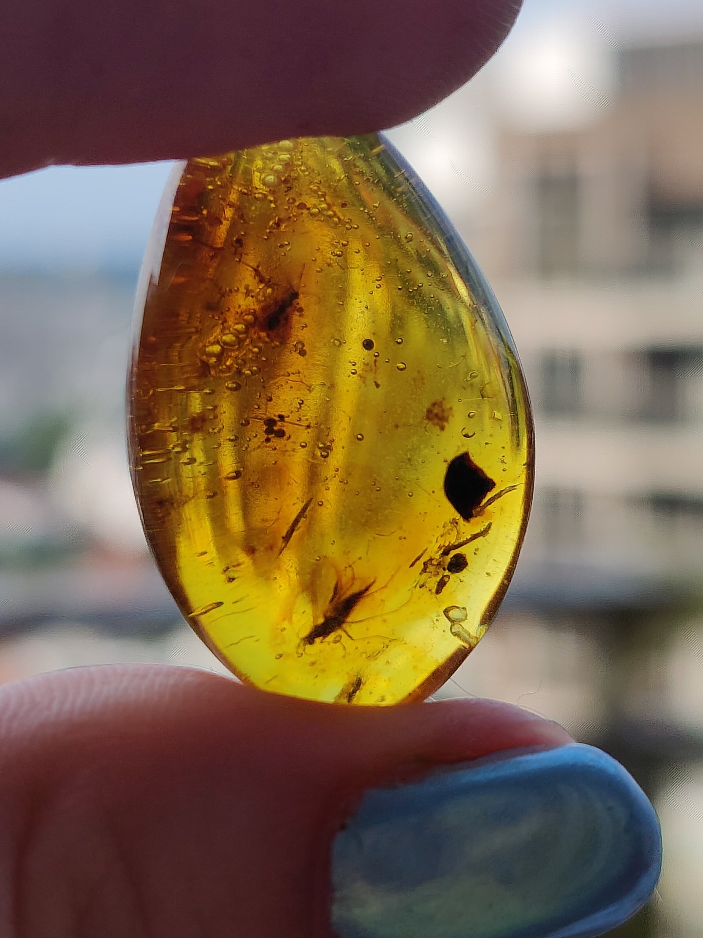 Amber Piece with Two Insects Inclusions and Bubbles of Air