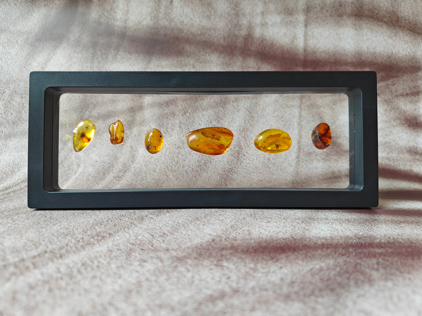 Unique Six Raw Amber Pieces with Spider Inclusions from Private Collection