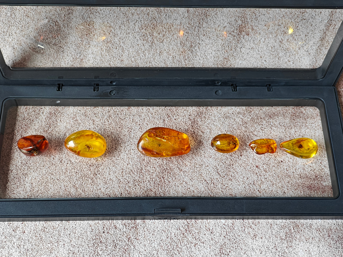 Unique Six Raw Amber Pieces with Spider Inclusions from Private Collection