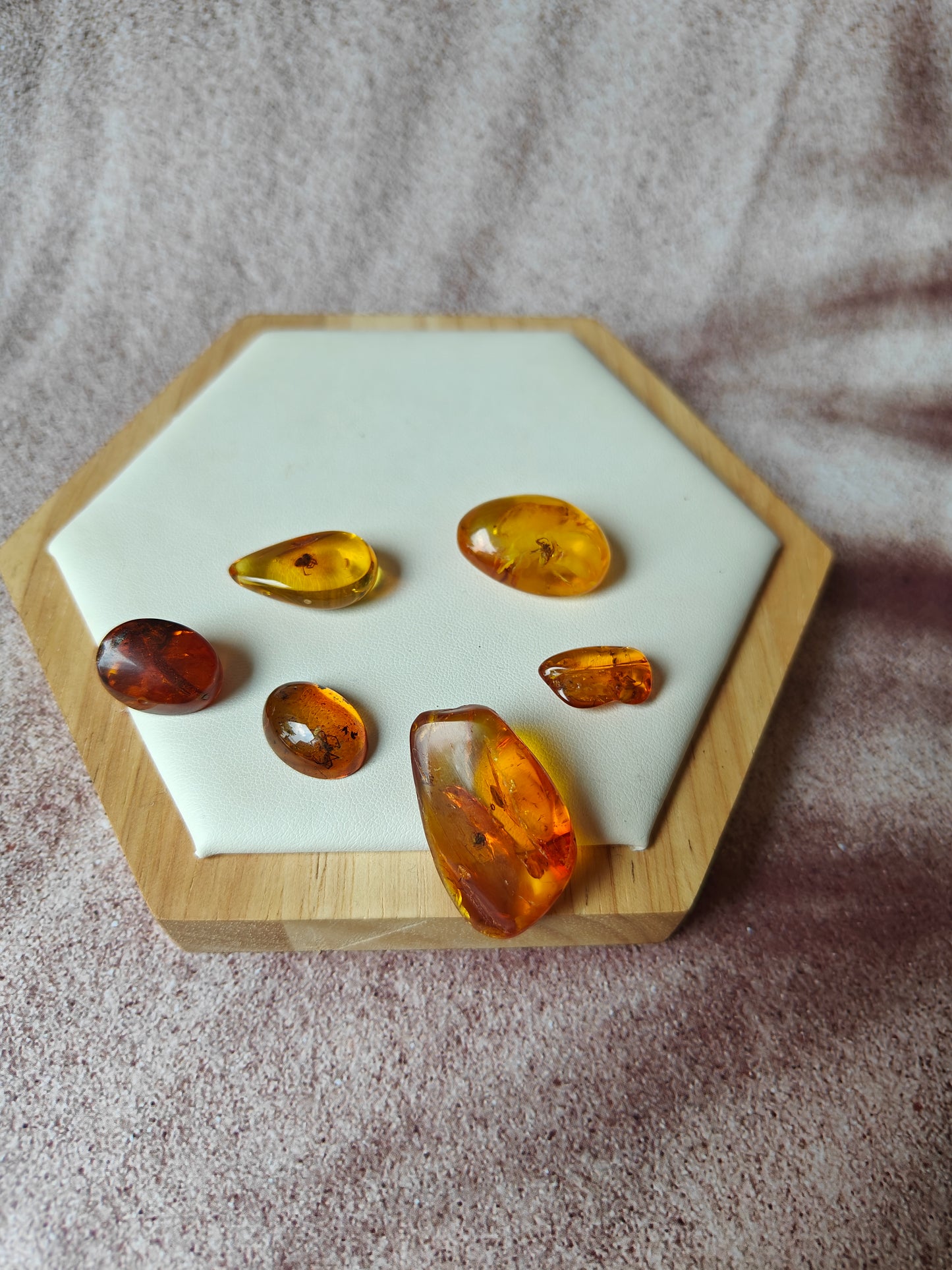 Unique Six Raw Amber Pieces with Spider Inclusions from Private Collection