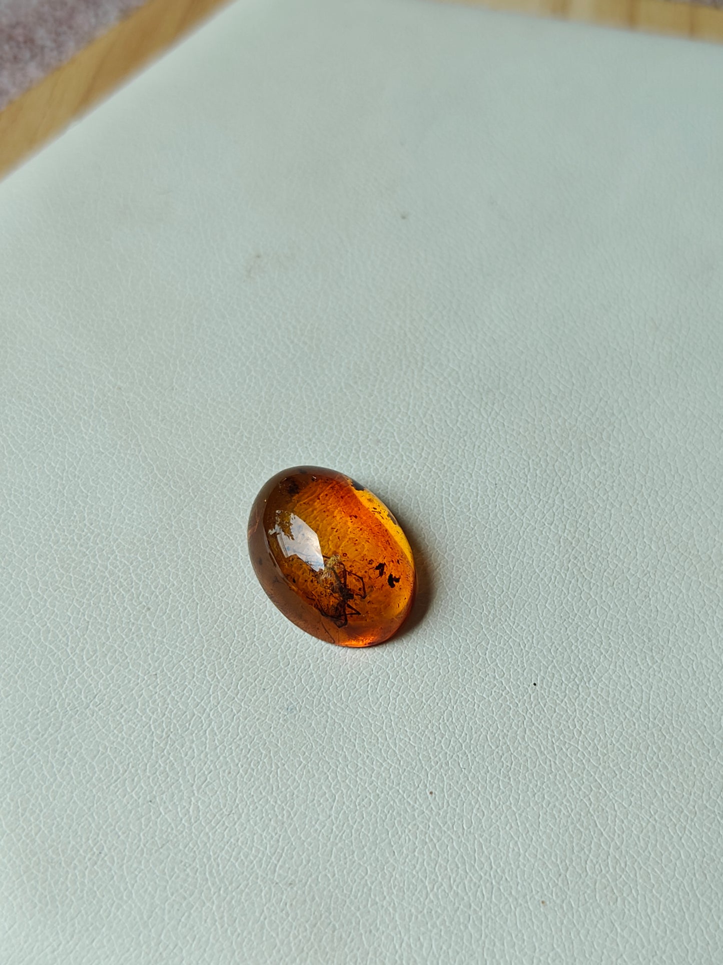 Unique Six Raw Amber Pieces with Spider Inclusions from Private Collection