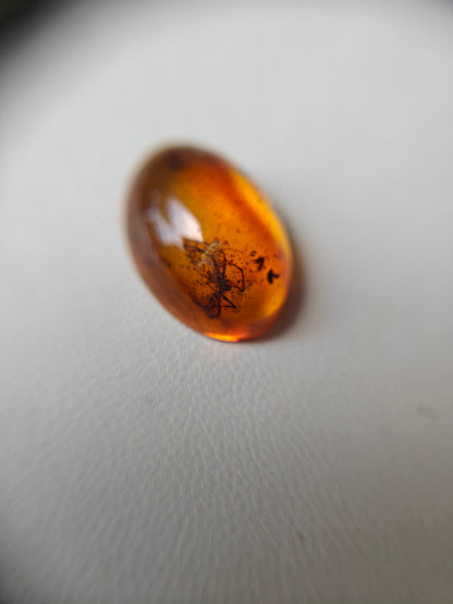 Unique Six Raw Amber Pieces with Spider Inclusions from Private Collection