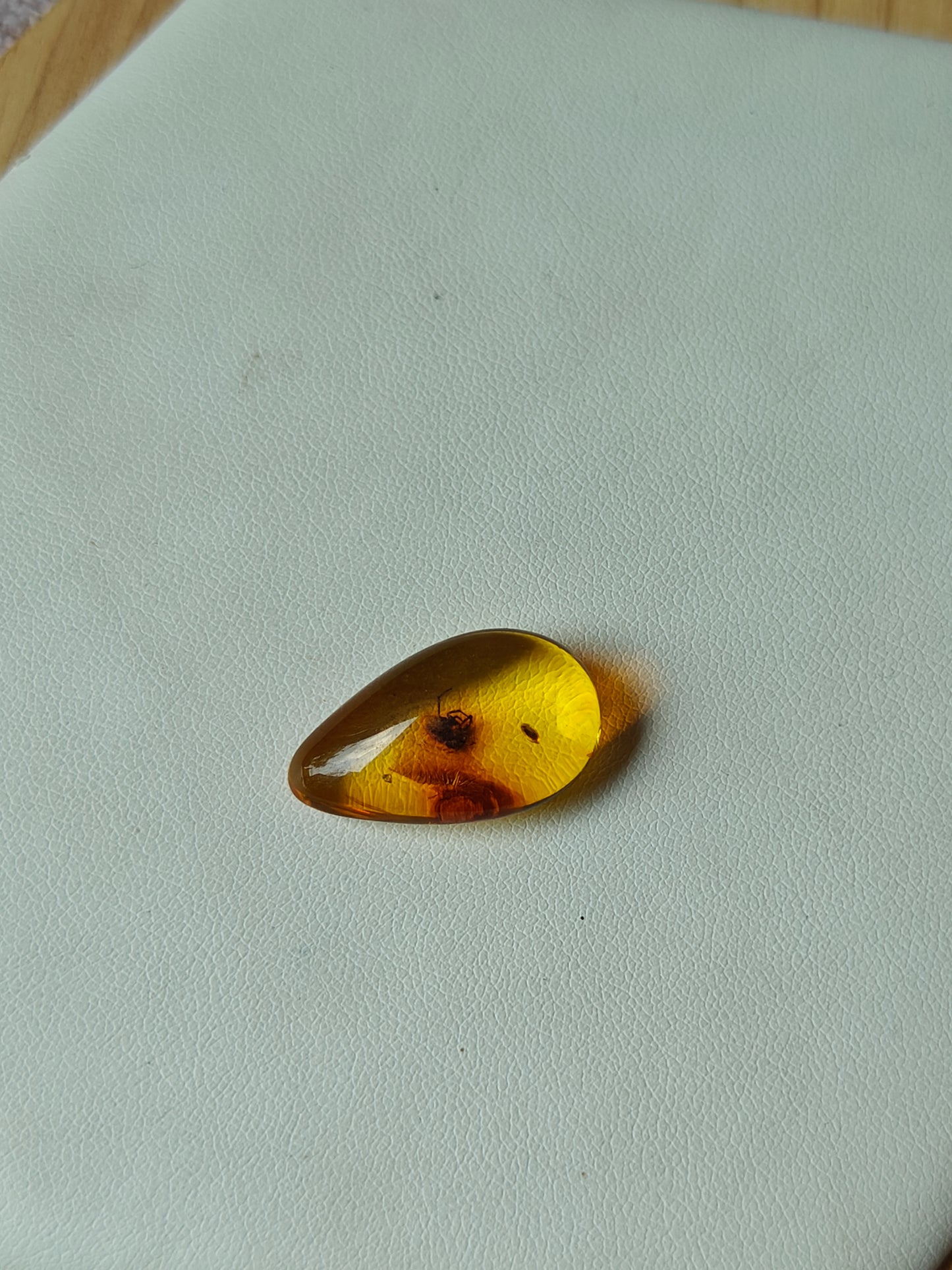 Unique Six Raw Amber Pieces with Spider Inclusions from Private Collection