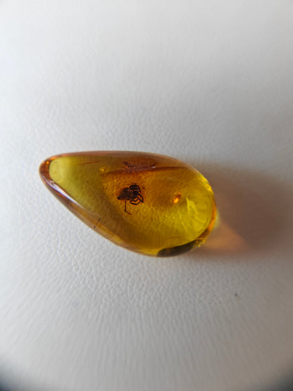 Unique Six Raw Amber Pieces with Spider Inclusions from Private Collection