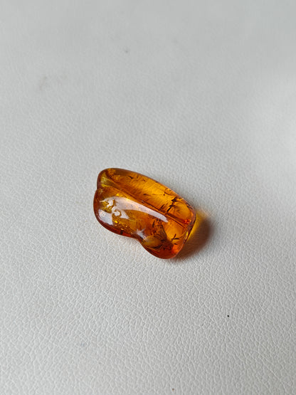 Unique Six Raw Amber Pieces with Spider Inclusions from Private Collection