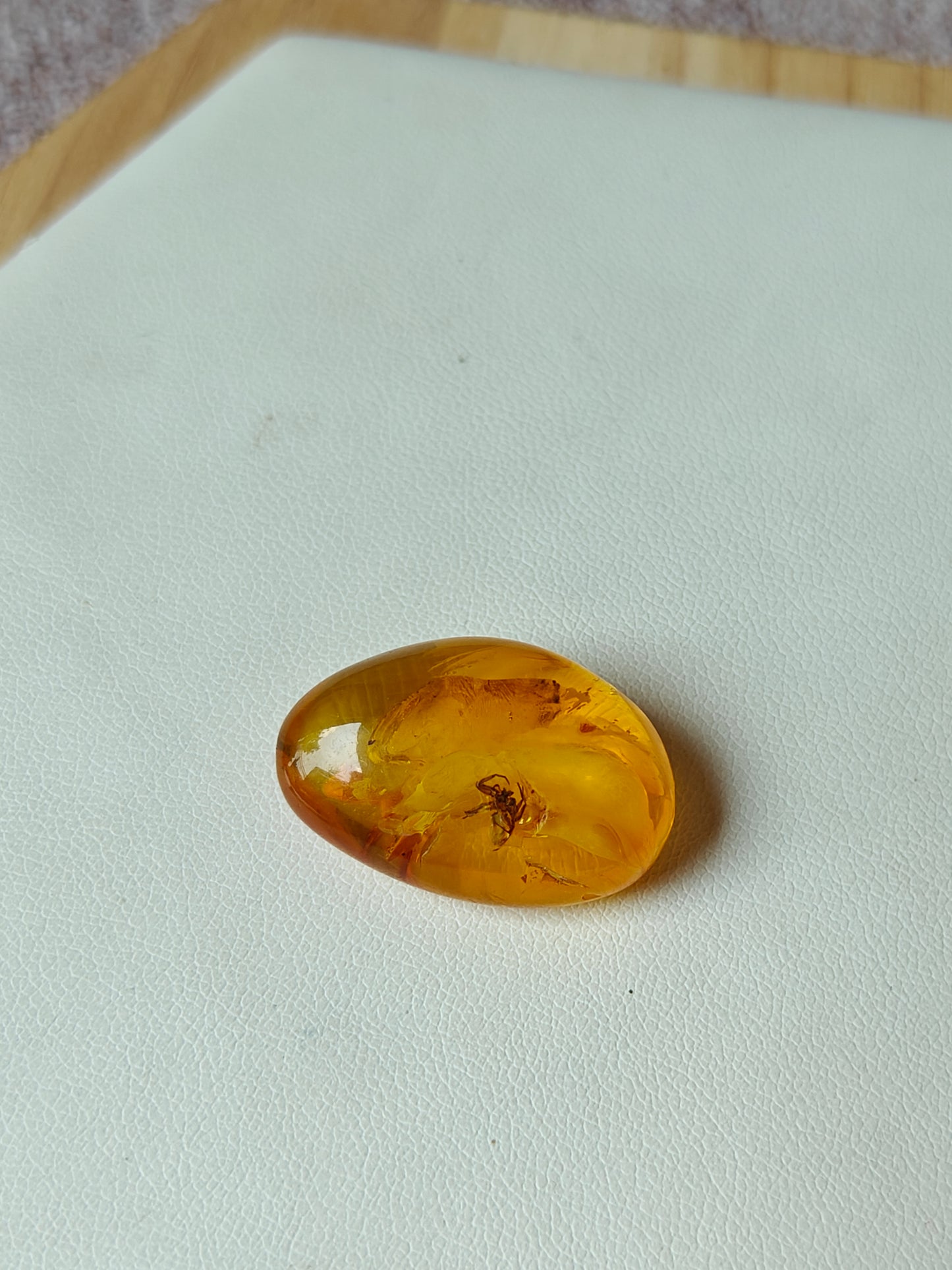 Unique Six Raw Amber Pieces with Spider Inclusions from Private Collection