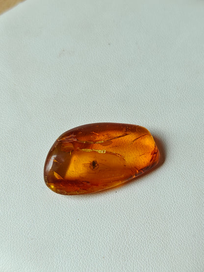 Unique Six Raw Amber Pieces with Spider Inclusions from Private Collection