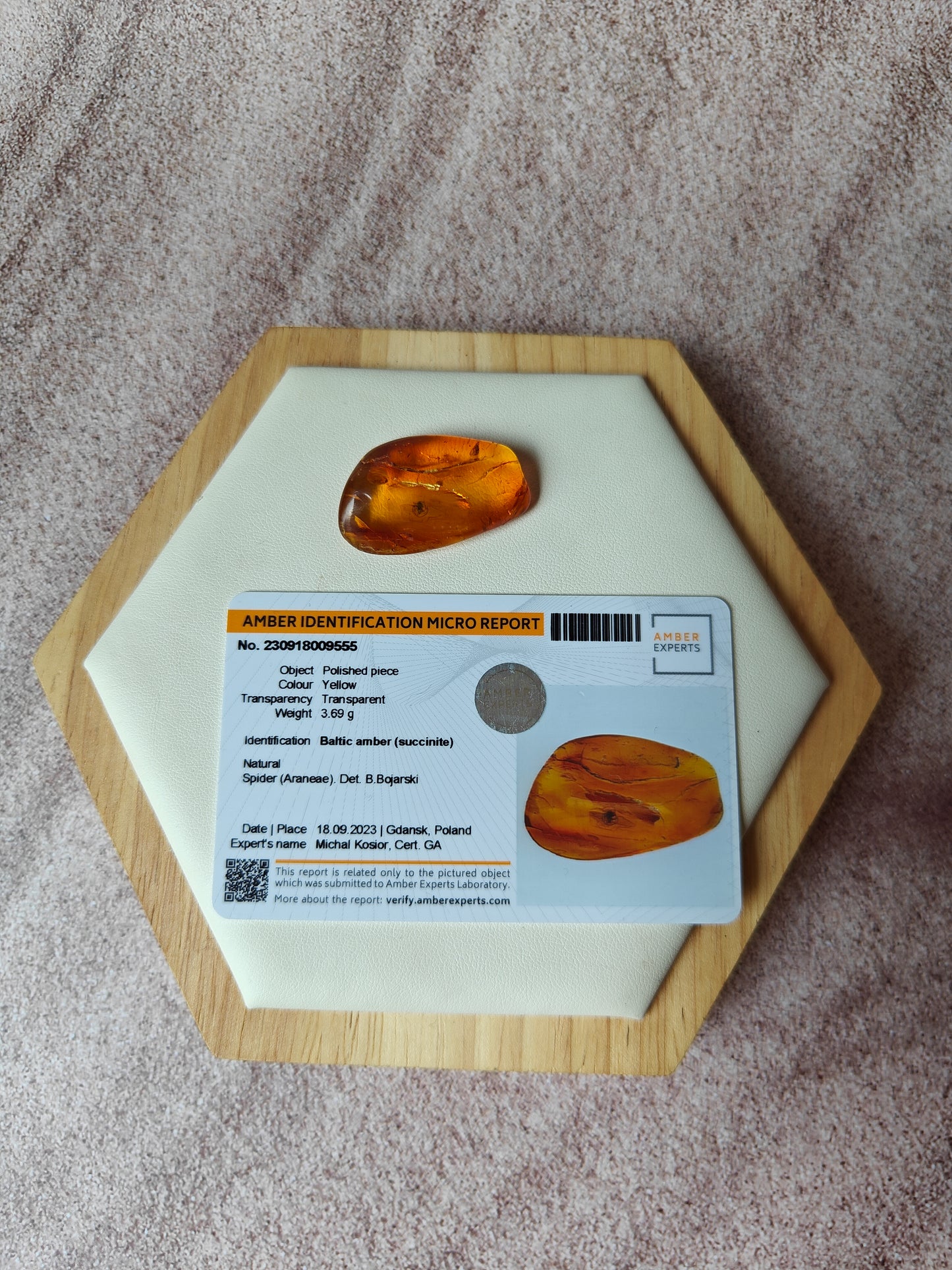 Unique Six Raw Amber Pieces with Spider Inclusions from Private Collection