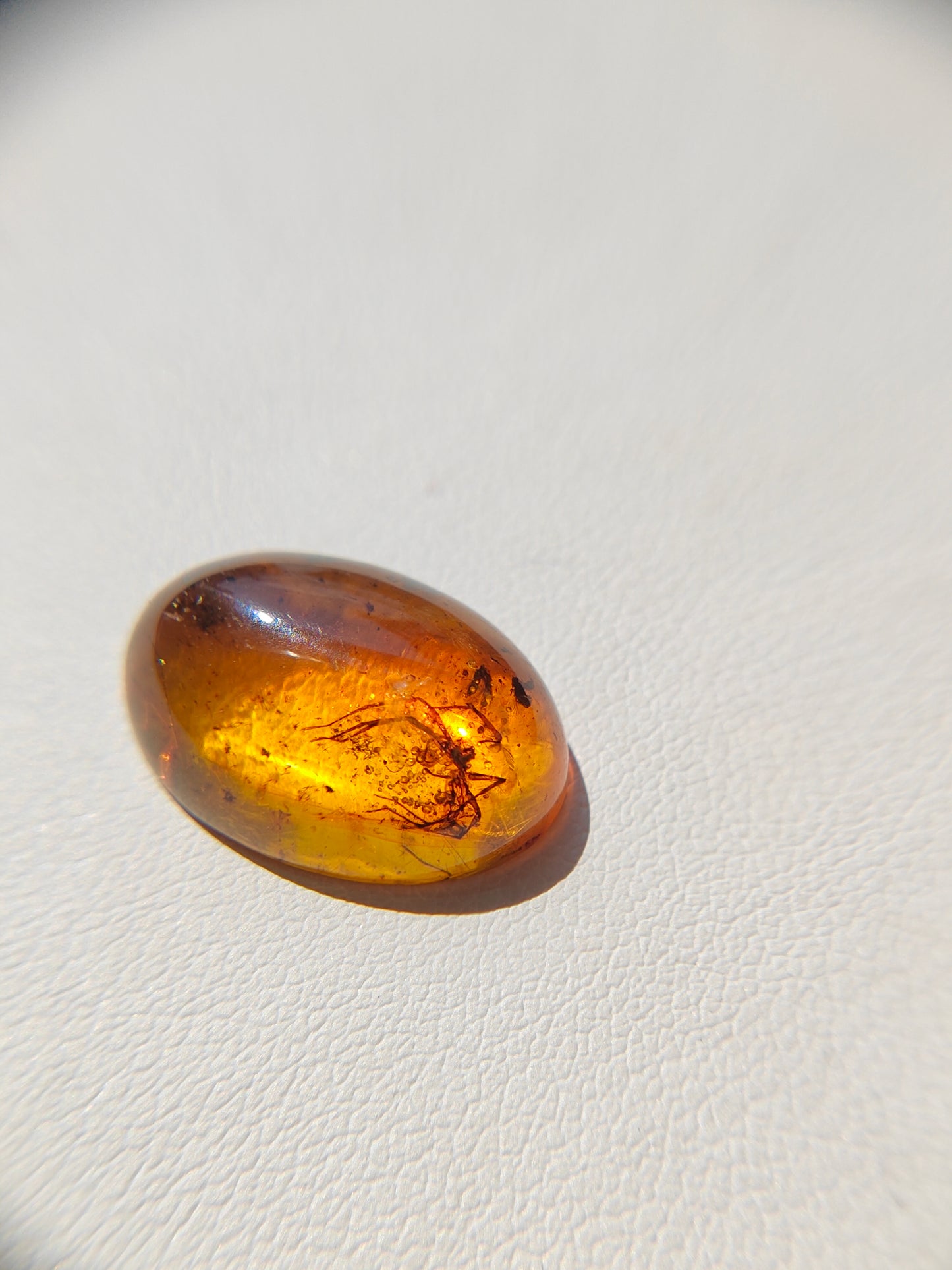 Unique Six Raw Amber Pieces with Spider Inclusions from Private Collection