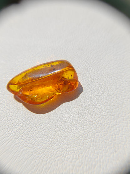 Unique Six Raw Amber Pieces with Spider Inclusions from Private Collection