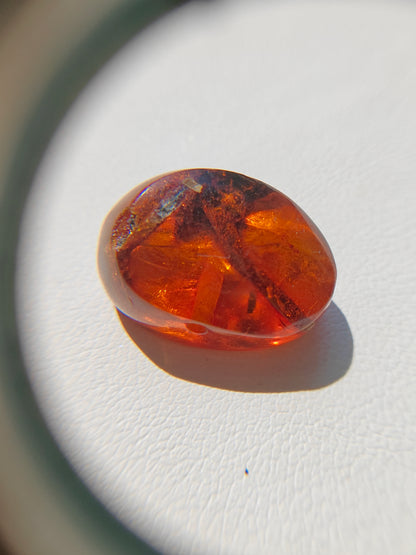 Unique Six Raw Amber Pieces with Spider Inclusions from Private Collection