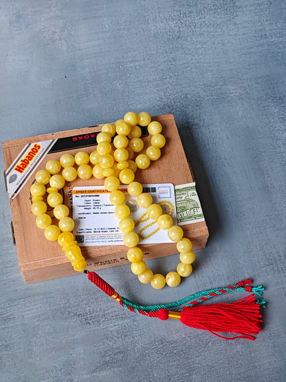 Unique Natural Milk/Butterscotch Amber Misbaha With Certificate 55 Beads