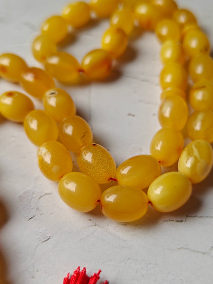 Natural Marble Amber Tasbih with Insect Inclusions and Natural Debris 45 Beads