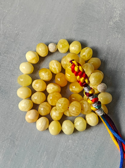 Natural Gradient Butterscotch, Royal White and Tiger Amber Istanbul Shape Misbah 40 Beads