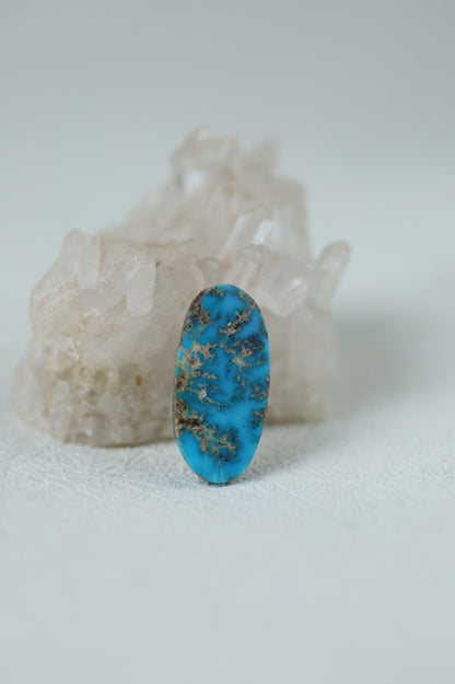 Raw Natural Persian Turquoise Cabochon from Neyshabur
