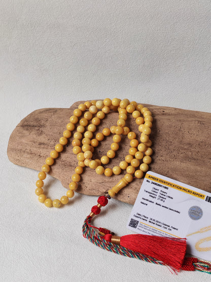 Aged Royal White Baltic Amber Tasbih with Certificate 99 Beads