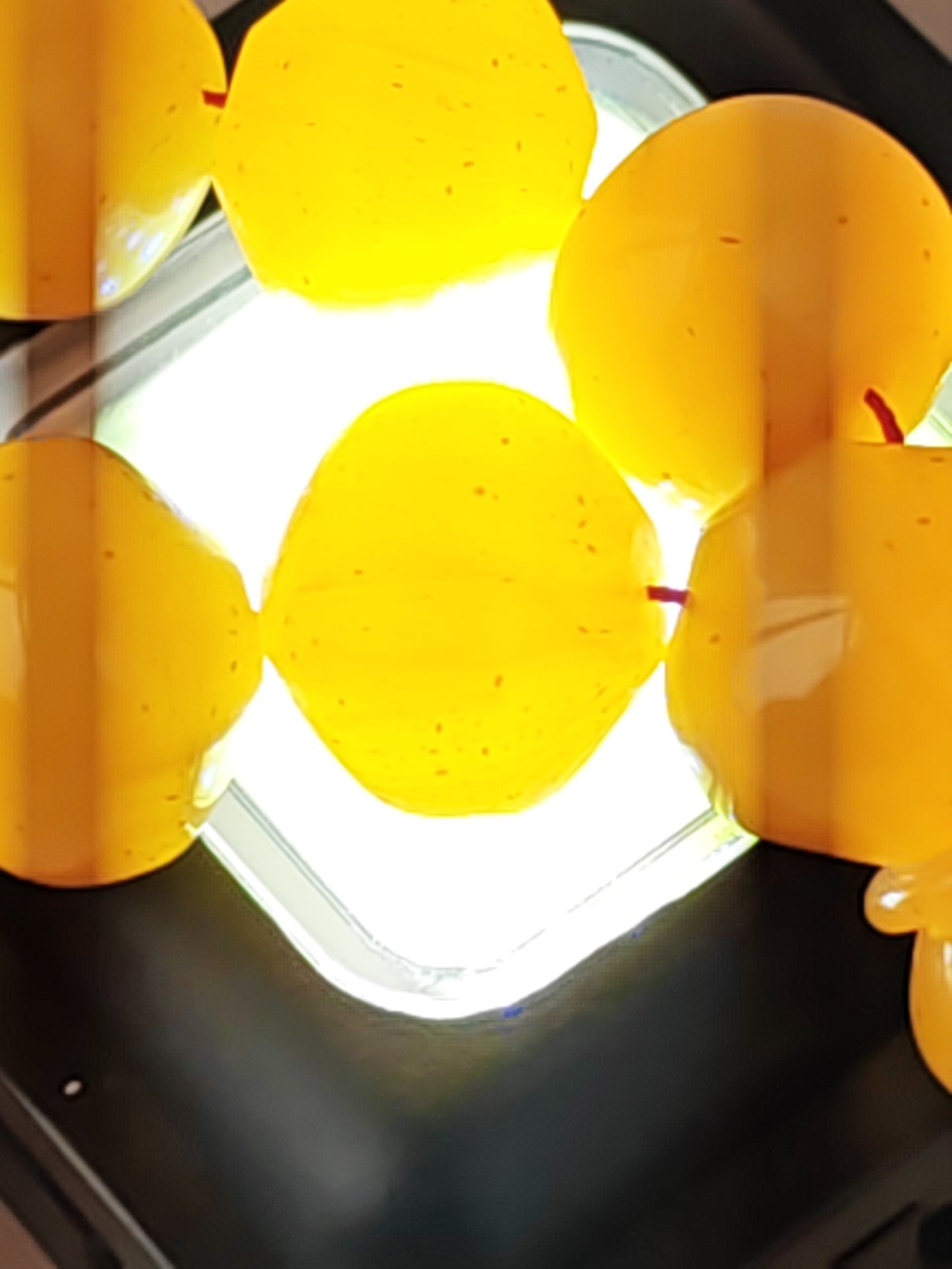 Lemon German Bakelite Misbah with Nemesh | 33 Istanbul Shape Beads | 46.5g