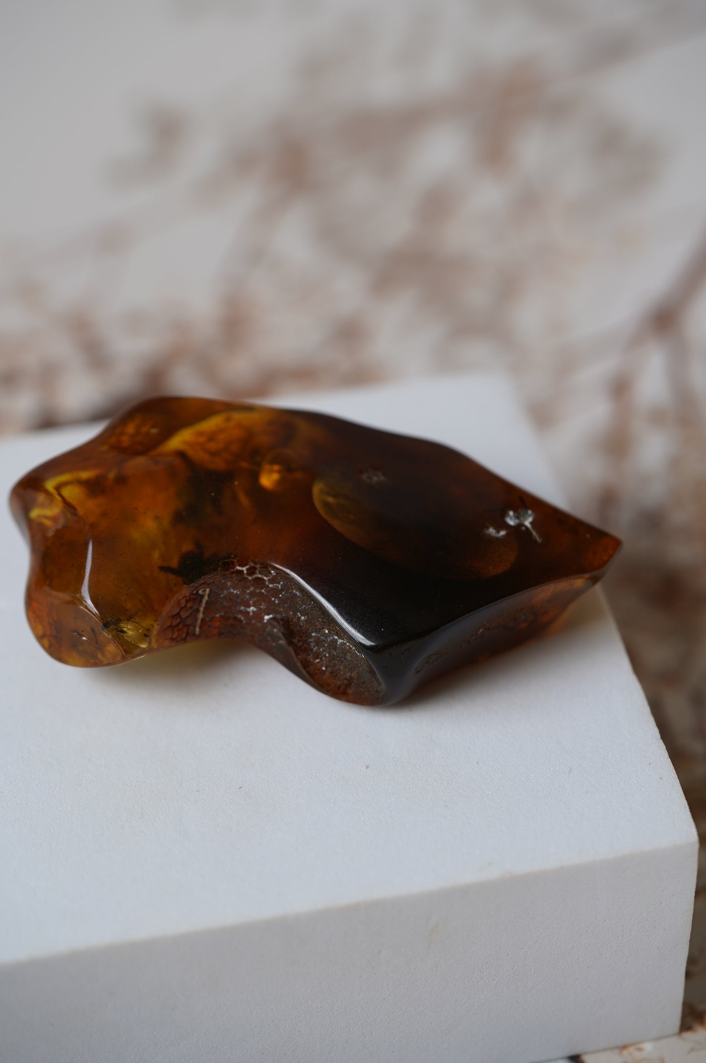 Unique Amber Piece with Multiple Insects Inclusions: 2 spiders and 2 flies