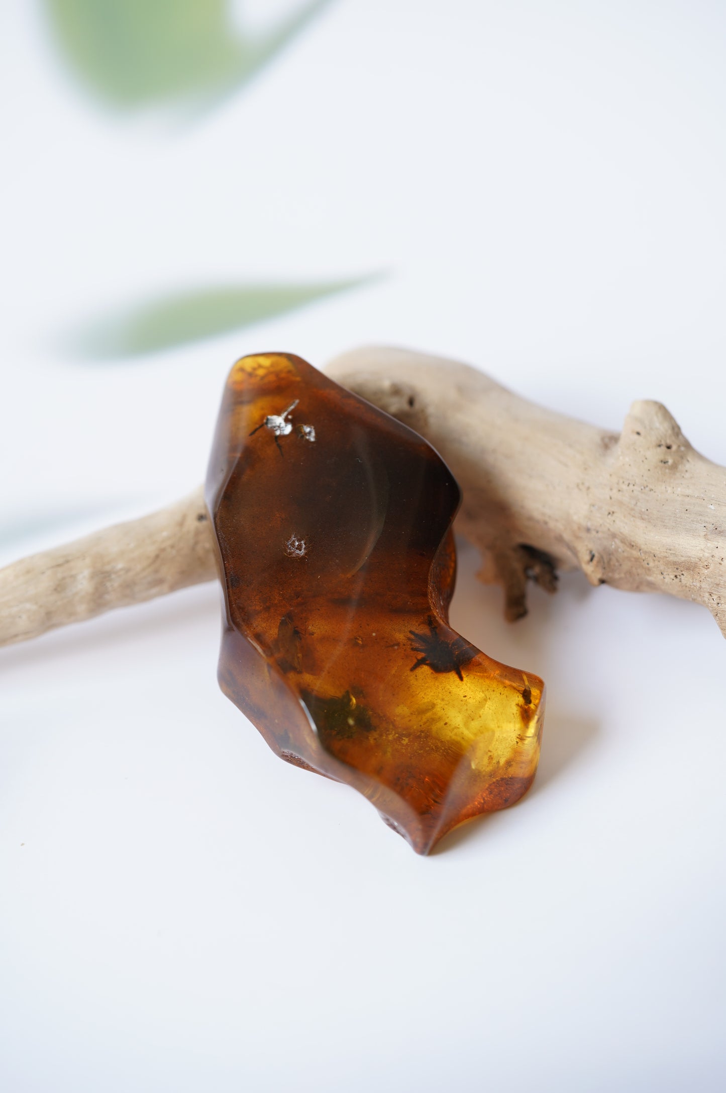 Unique Amber Piece with Multiple Insects Inclusions: 2 spiders and 2 flies