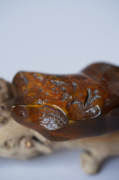 Unique Amber Piece with Multiple Insects Inclusions: 2 spiders and 2 flies