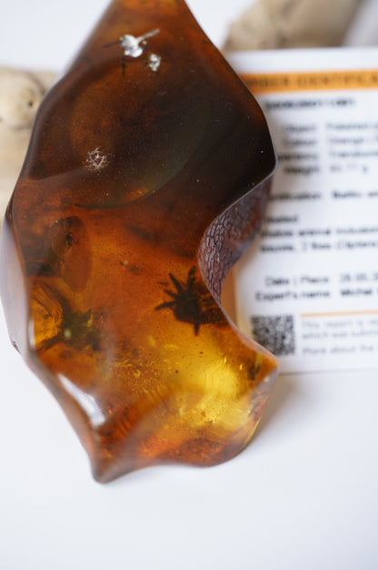 Unique Amber Piece with Multiple Insects Inclusions: 2 spiders and 2 flies