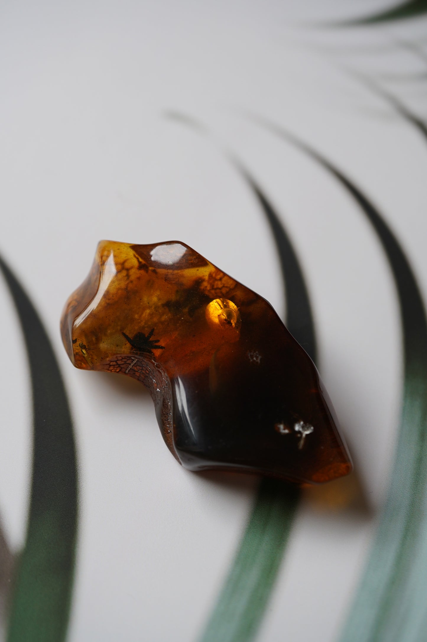 Unique Amber Piece with Multiple Insects Inclusions: 2 spiders and 2 flies