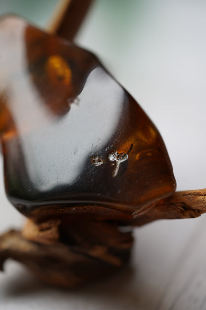 Unique Amber Piece with Multiple Insects Inclusions: 2 spiders and 2 flies