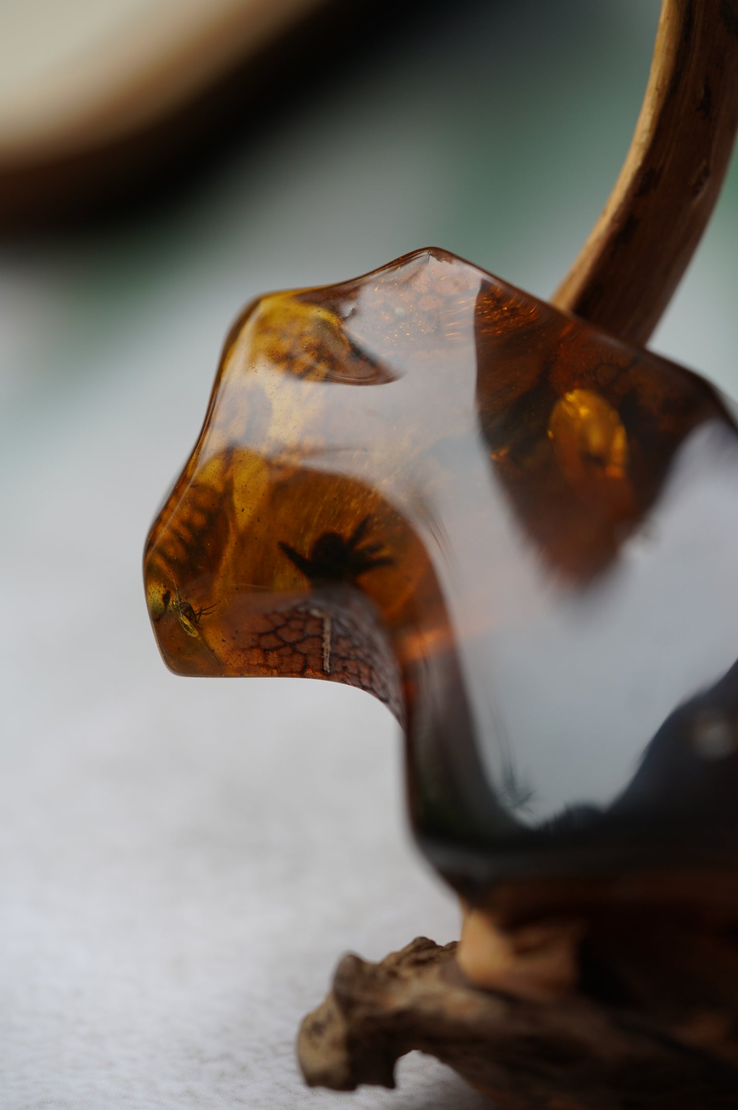 Unique Amber Piece with Multiple Insects Inclusions: 2 spiders and 2 flies