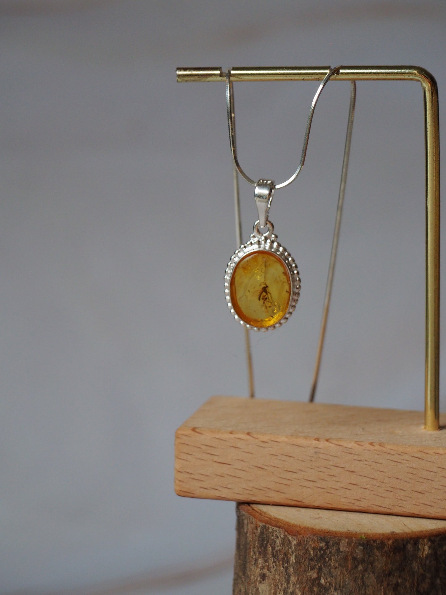 Citron Amber Pendant with Insect (Mosquito) Inclusion in Silver