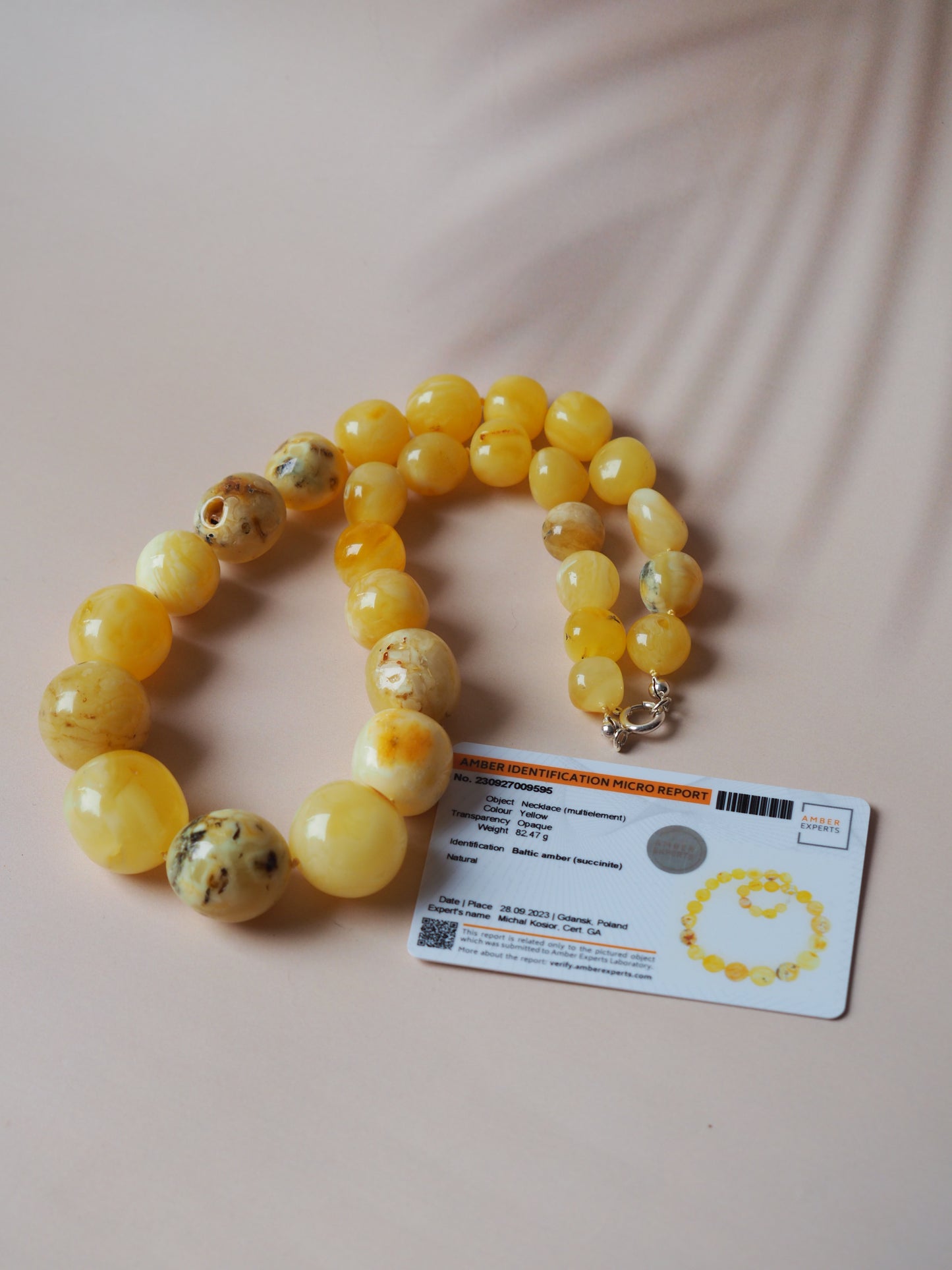 Big Unique Amber Necklace with Certificate