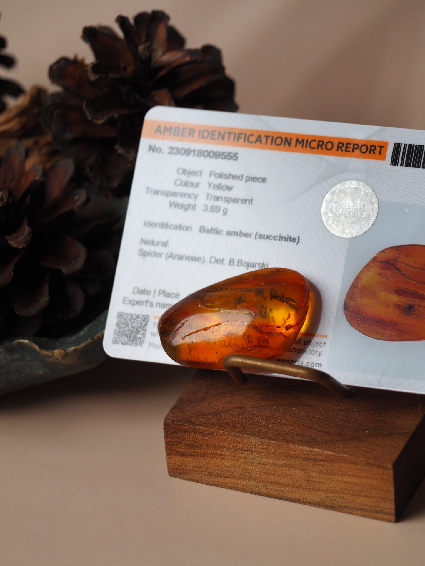 Rare Amber Piece with Natural Spider Inclusion with Certificate