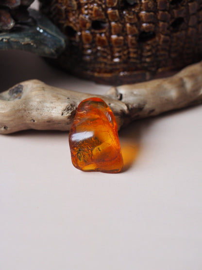 Unique Amber Piece with  Insects Inclusions - Mosquito and 2 Flies