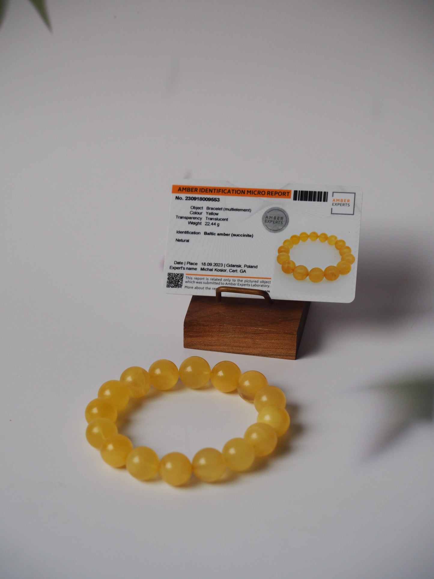 Natural Milk/ Transparent Amber Beaded Bracelet 13,5mm with Certificate