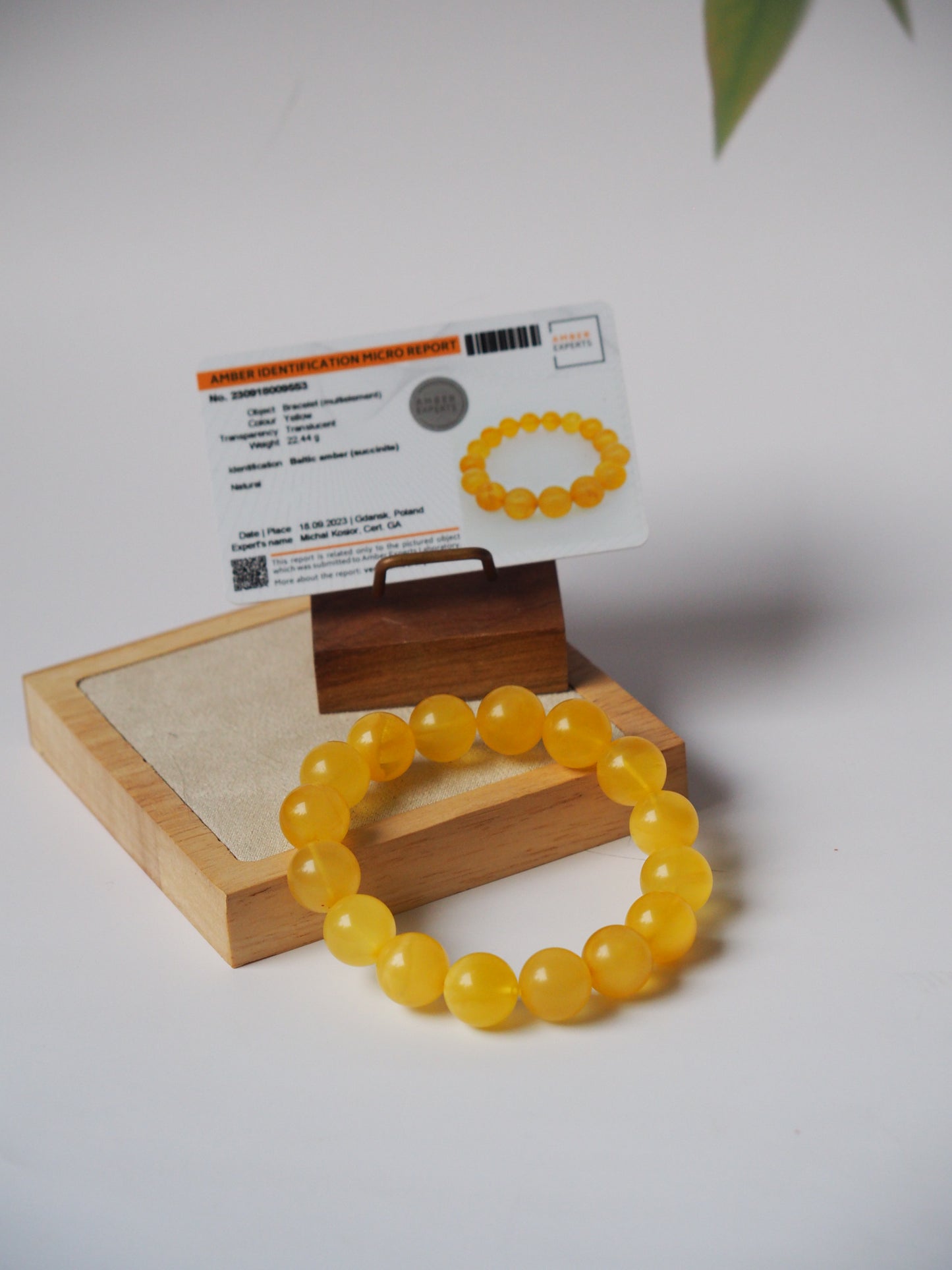Natural Milk/ Transparent Amber Beaded Bracelet 13,5mm with Certificate