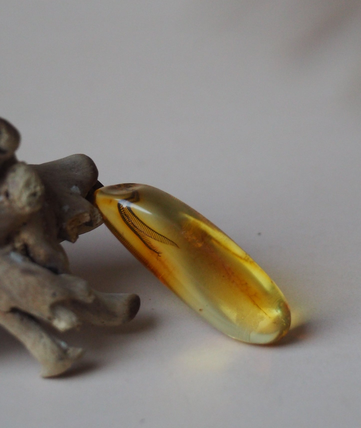 Amber Piece with Natural Insect Inclusion - Well Visible Insect's Wing