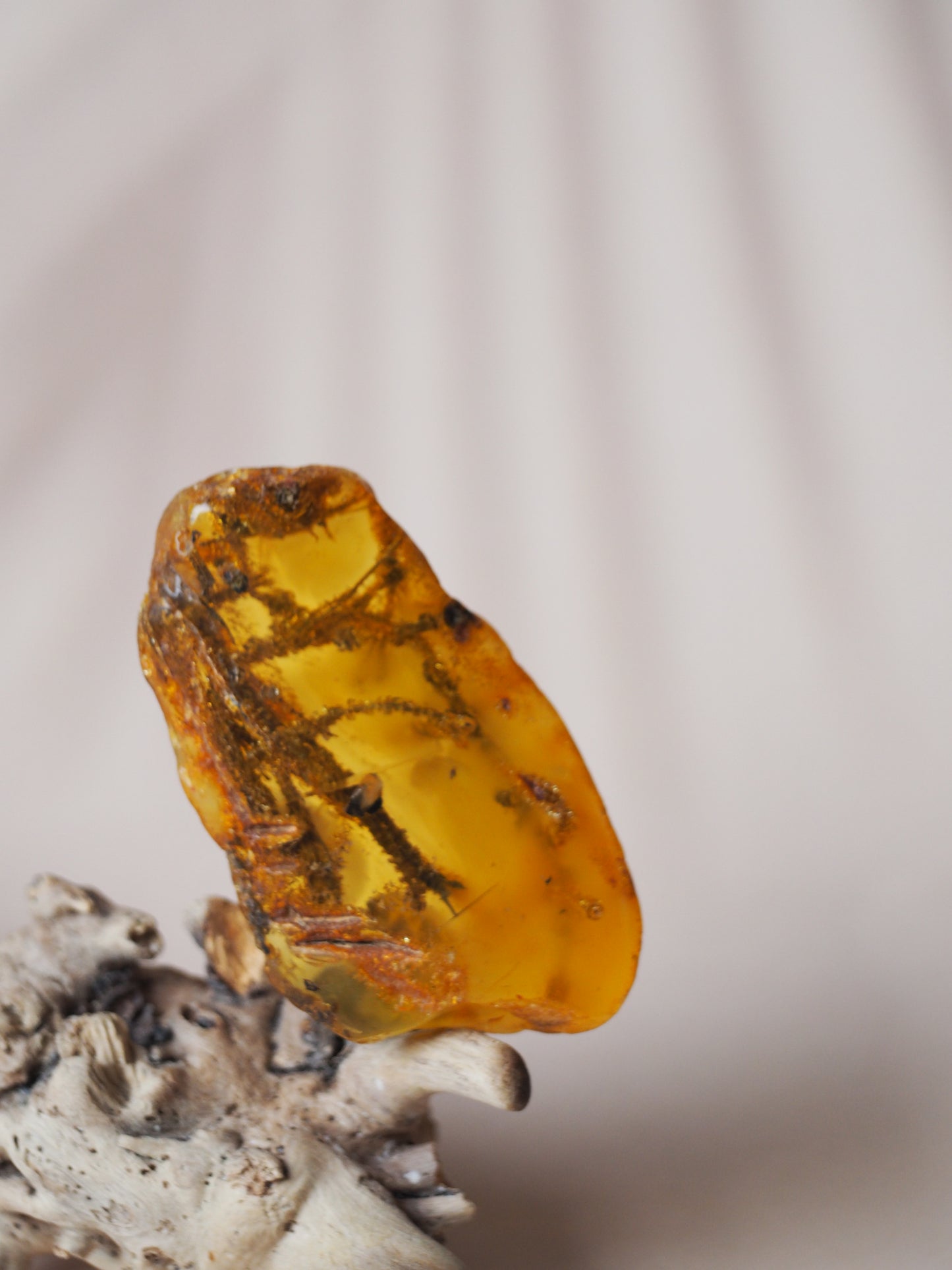Big Piece of Amber with Seaweed Inclusion