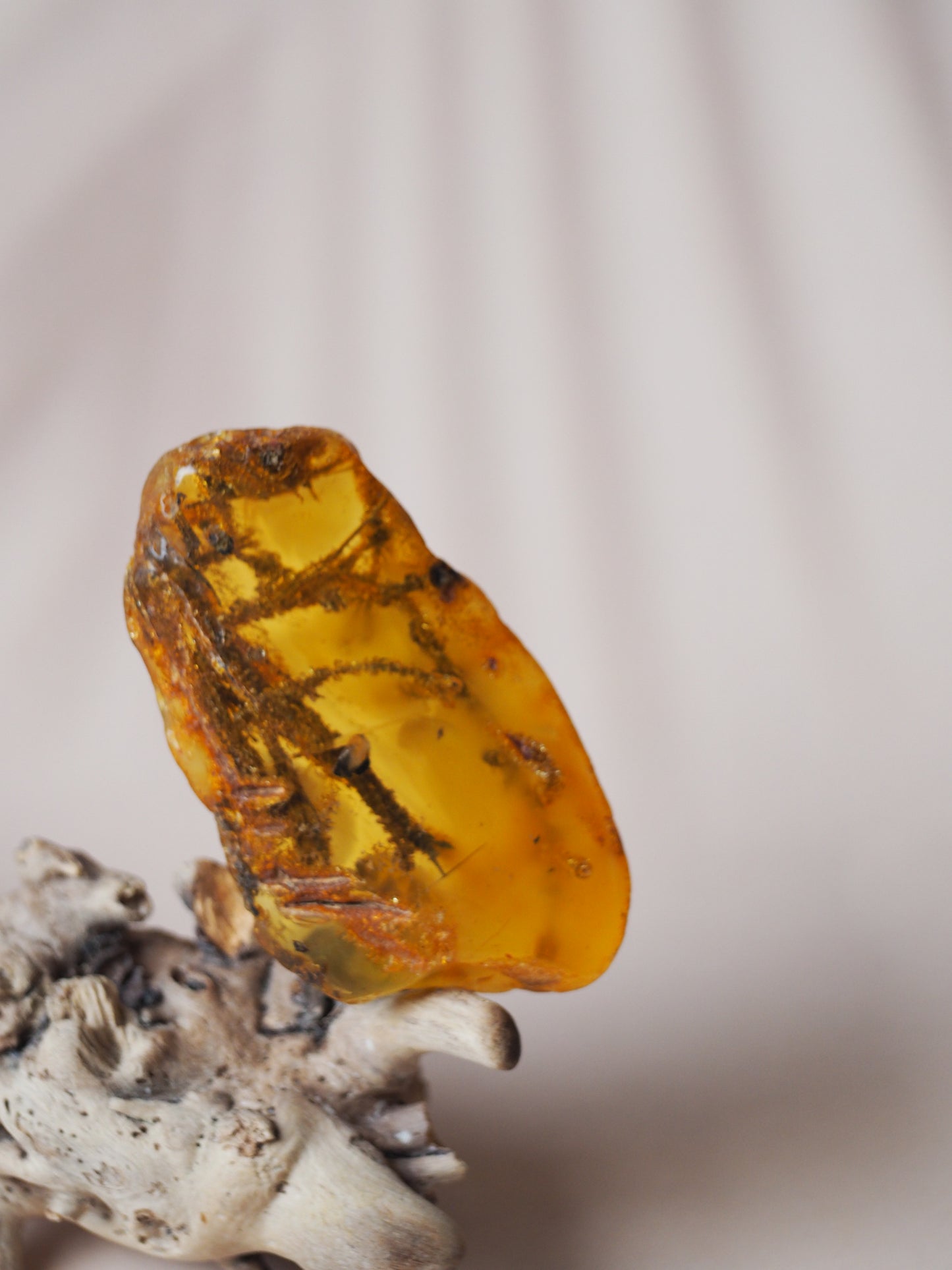 Big Piece of Amber with Seaweed Inclusion