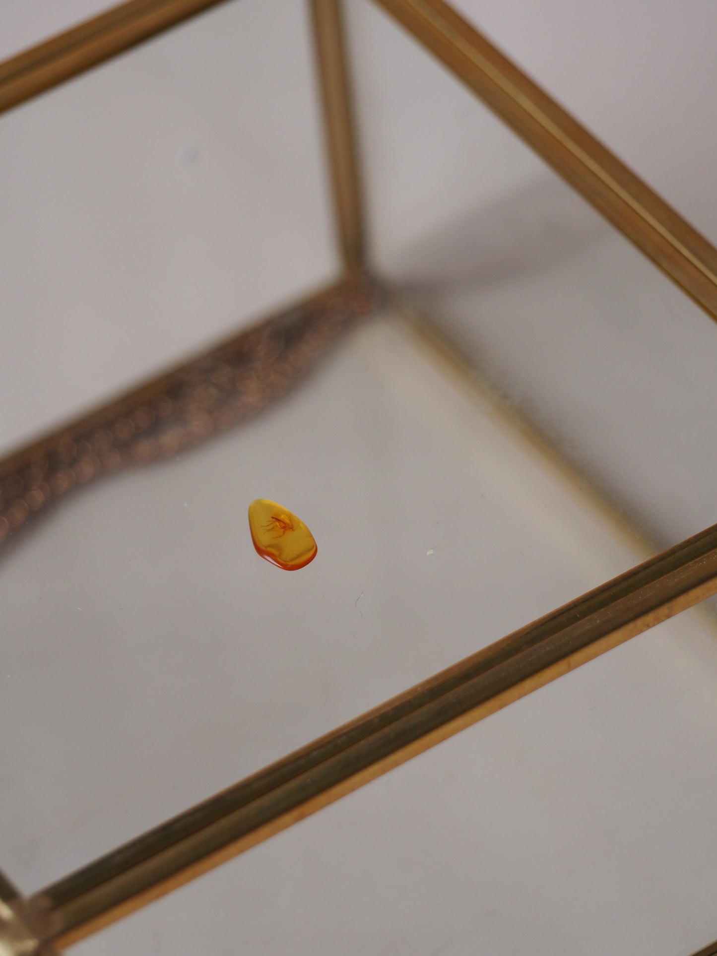 [Micro Size] Piece of Amber with Very Well Visible Mosquito Inclusion