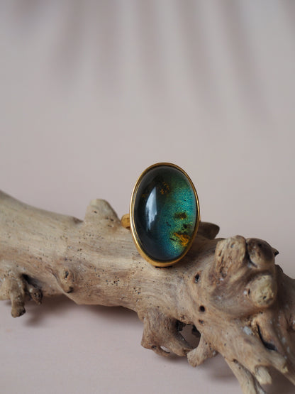 Oval Shape Blue Amber Ring with Natural Inclusions in Gold Plated Silver