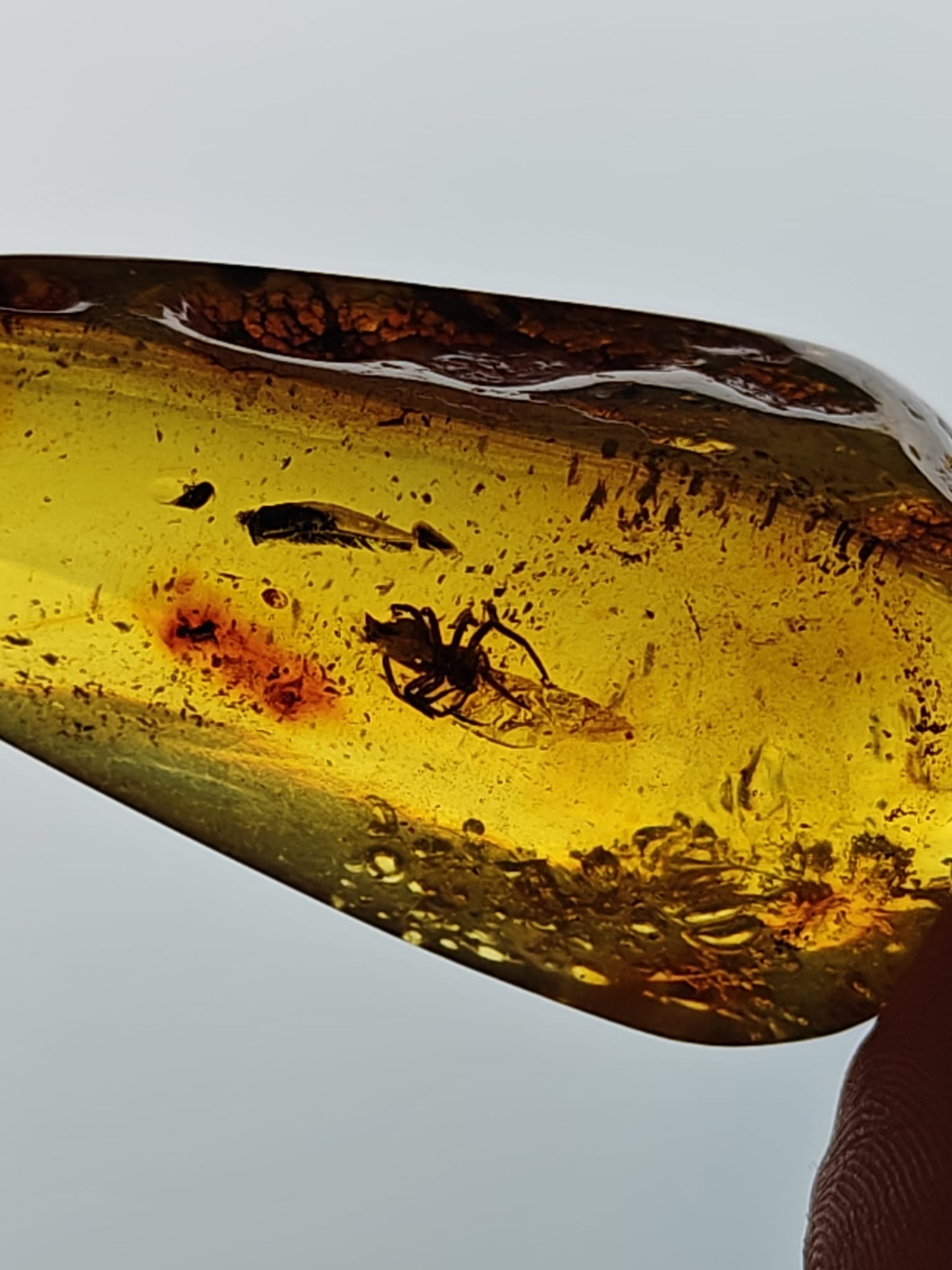 Unique Raw Amber Piece with Spider Inclusion