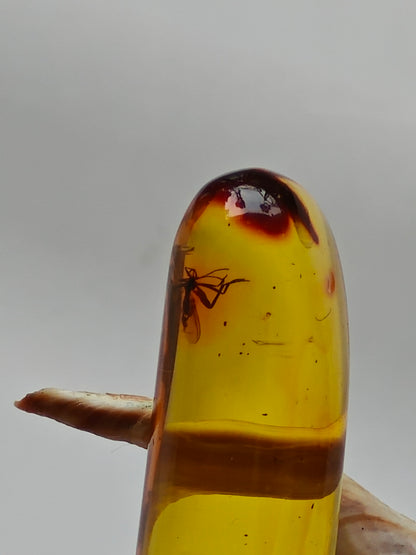 Raw Colombian Amber with Insect Inclusions – Cylinder Shape | 4.9g